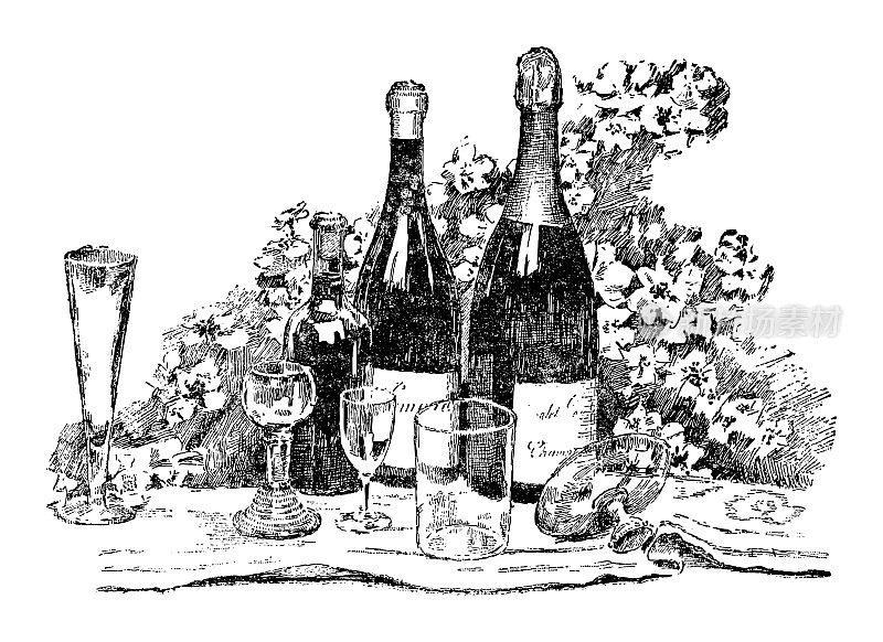 葡萄酒瓶子和酒杯与葡萄藤- vintage雕刻插图孤立在白色背景